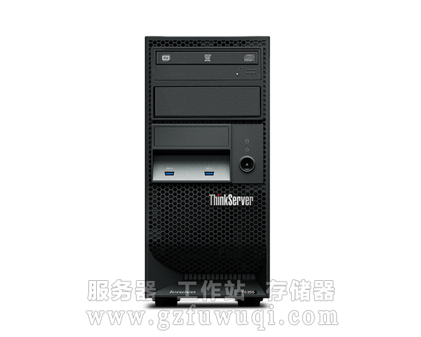 ThinkServer TS250 S1225V5/2*4G/2*1T RAI1