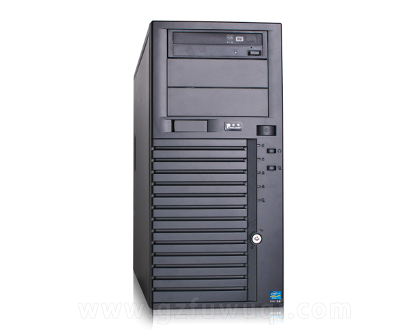 宝德(PowerLeader) PR6510G 双路塔式服务器